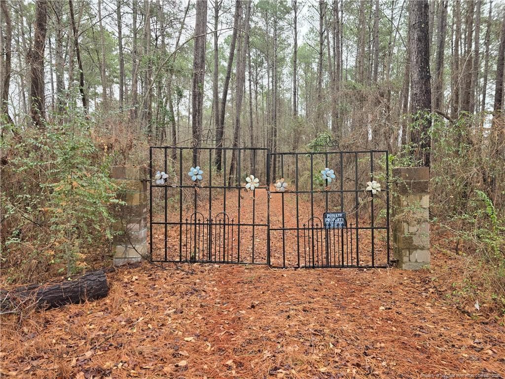 488 Green Street, Parkton, NC 28371