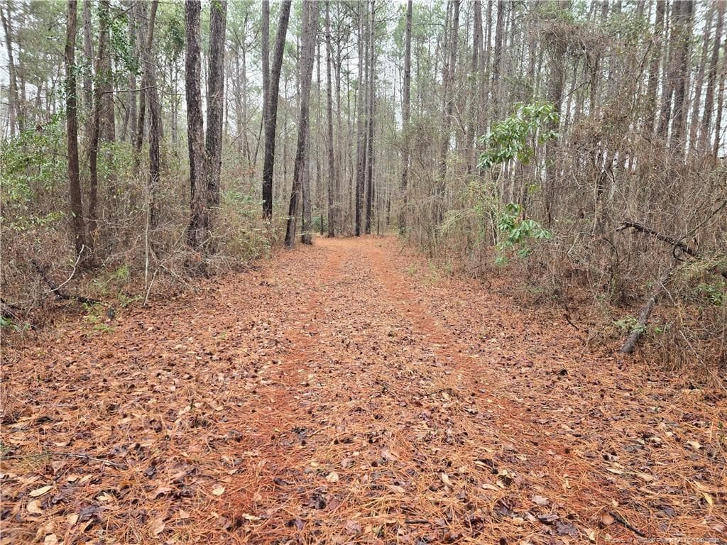 Photo 2 - 488 Green Street, Parkton, NC 28371