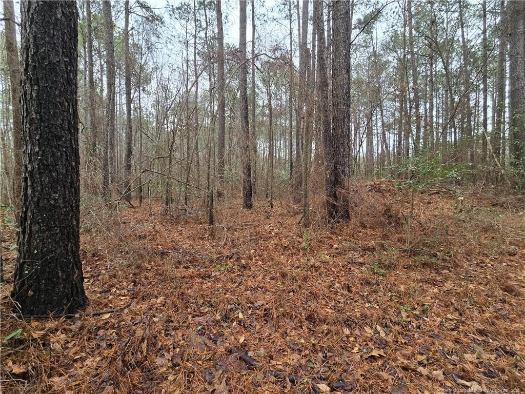 Photo 8 - 488 Green Street, Parkton, NC 28371