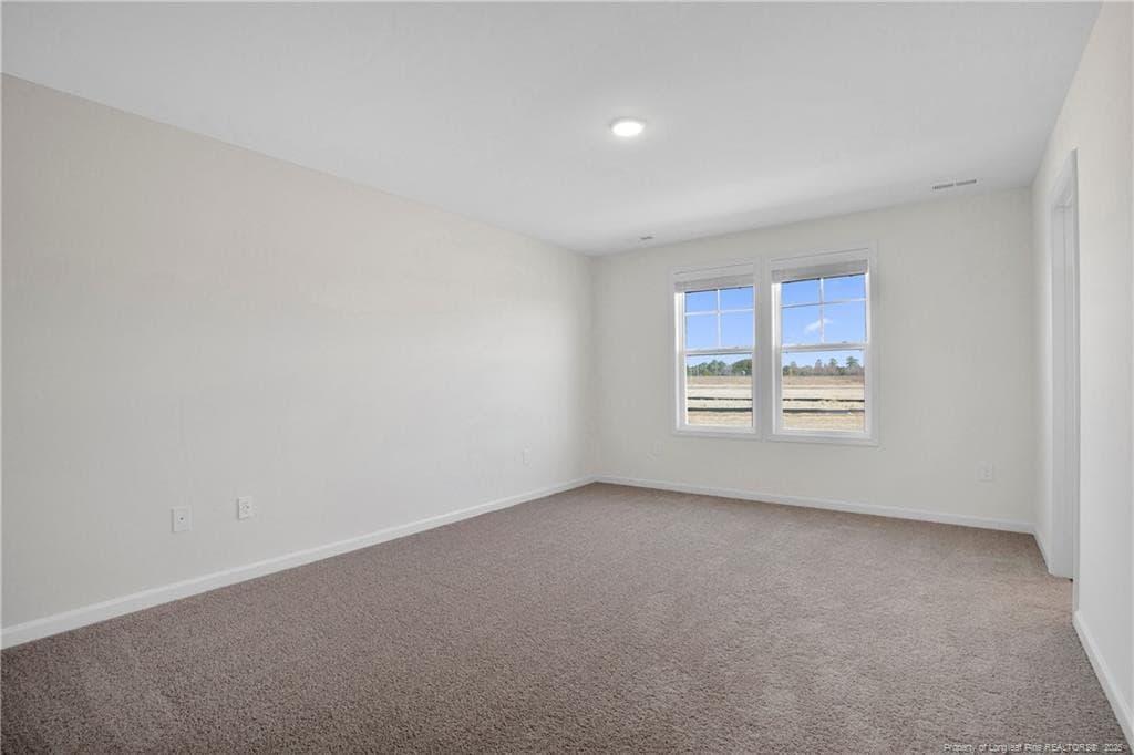 Photo 22 - 208 Buggy Top Lane, Autryville, NC 28318, Autryville