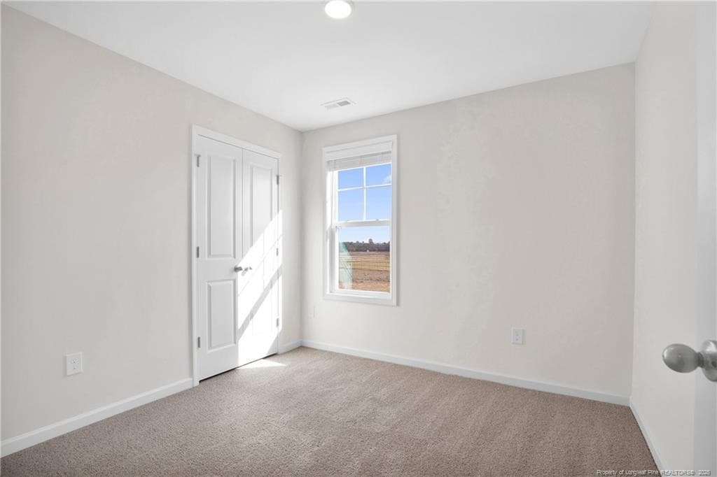 Photo 39 - 208 Buggy Top Lane, Autryville, NC 28318, Autryville