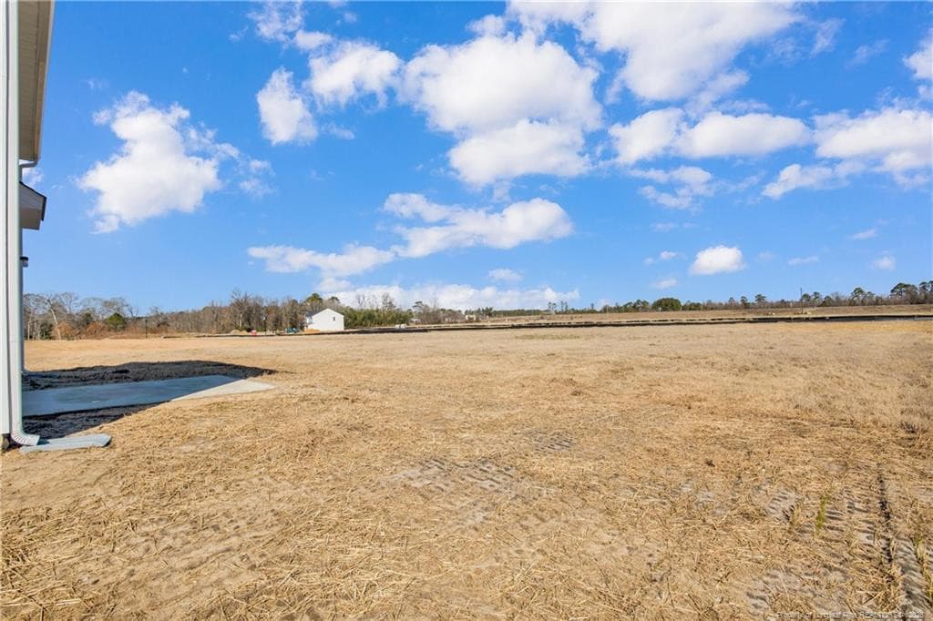 Photo 42 - 208 Buggy Top Lane, Autryville, NC 28318, Autryville