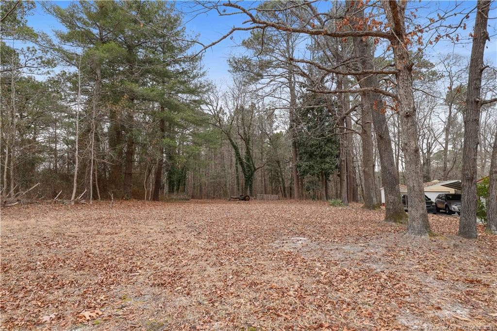 Photo 33 - 156 Connell Road, Carthage, NC 28327
