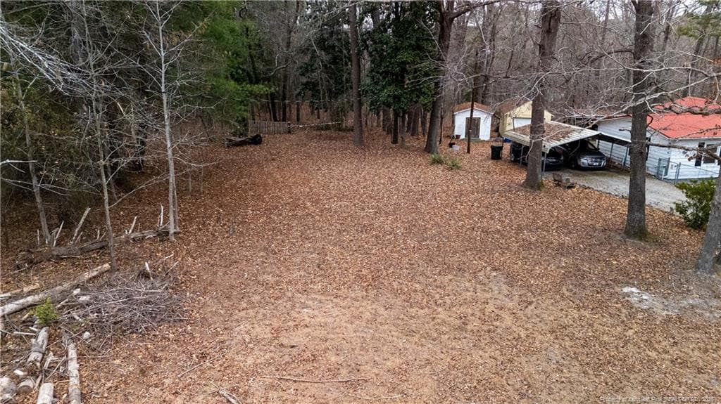 Photo 34 - 156 Connell Road, Carthage, NC 28327