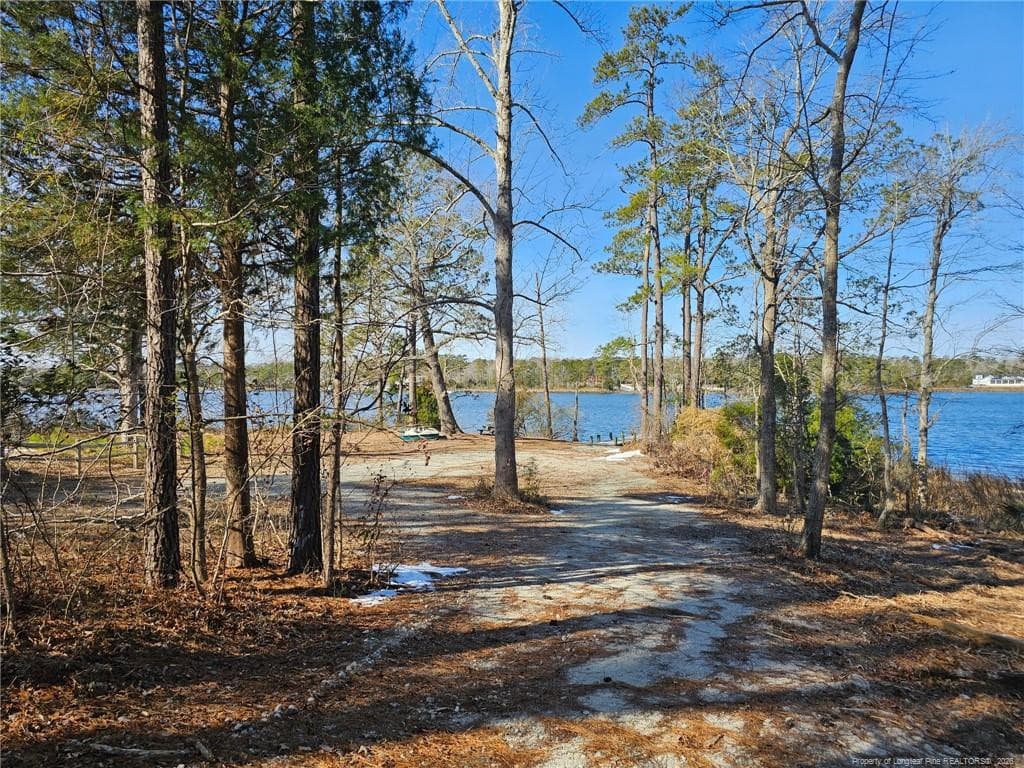 Photo 6 - 110 Caraway Court, Arapahoe, NC 28510