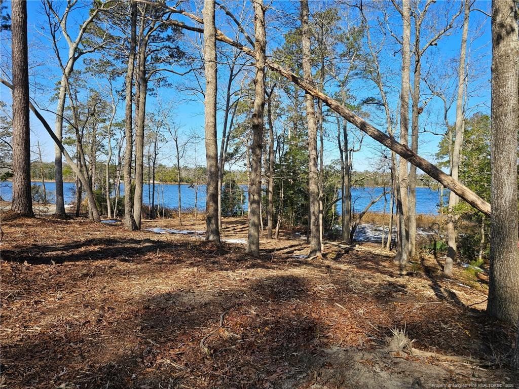 Photo 7 - 110 Caraway Court, Arapahoe, NC 28510