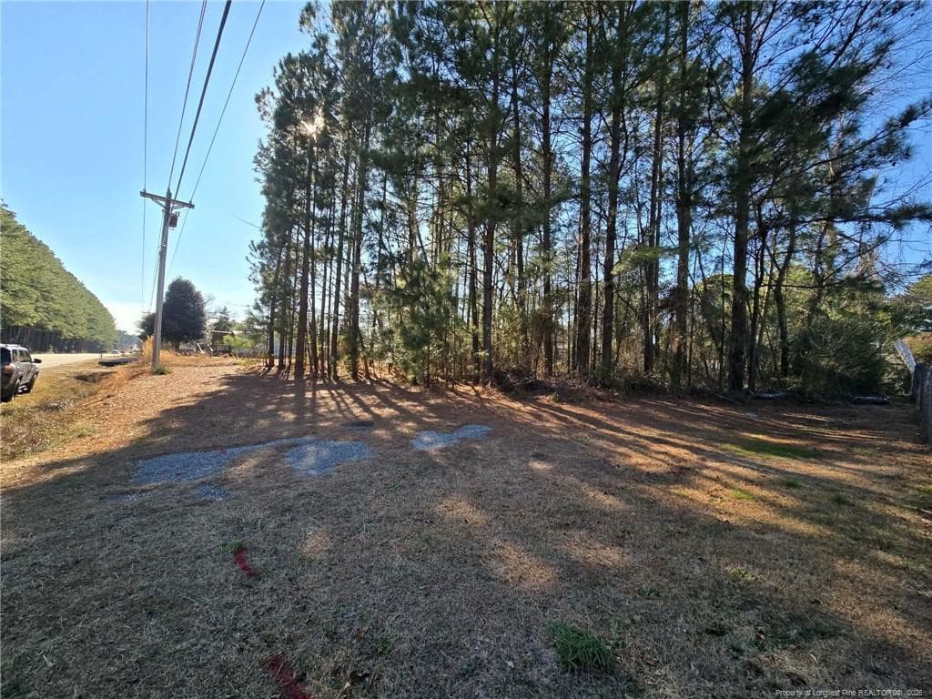 Photo 4 - 4026 Nursery Road, Spring Lake, NC 28390