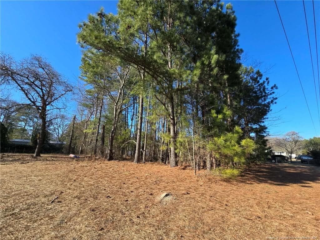 Photo 6 - 4026 Nursery Road, Spring Lake, NC 28390