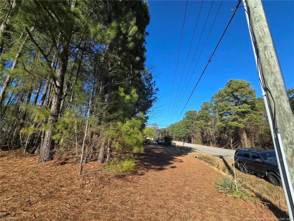 Photo 9 - 4026 Nursery Road, Spring Lake, NC 28390