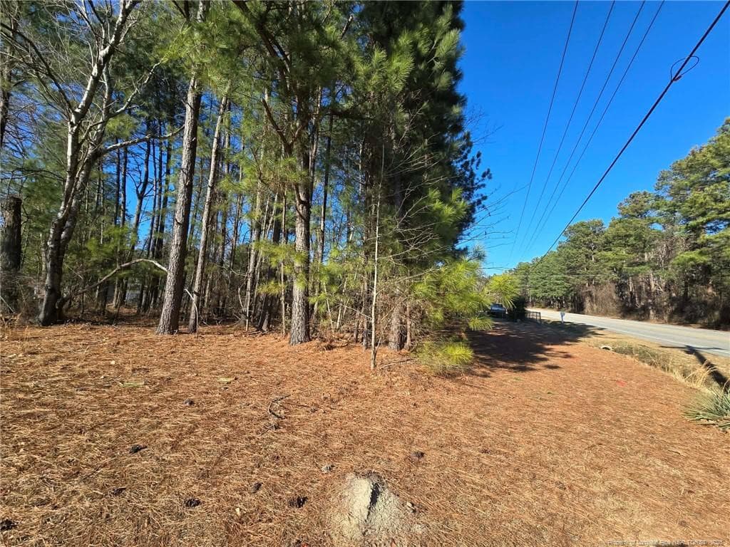 Photo 11 - 4026 Nursery Road, Spring Lake, NC 28390