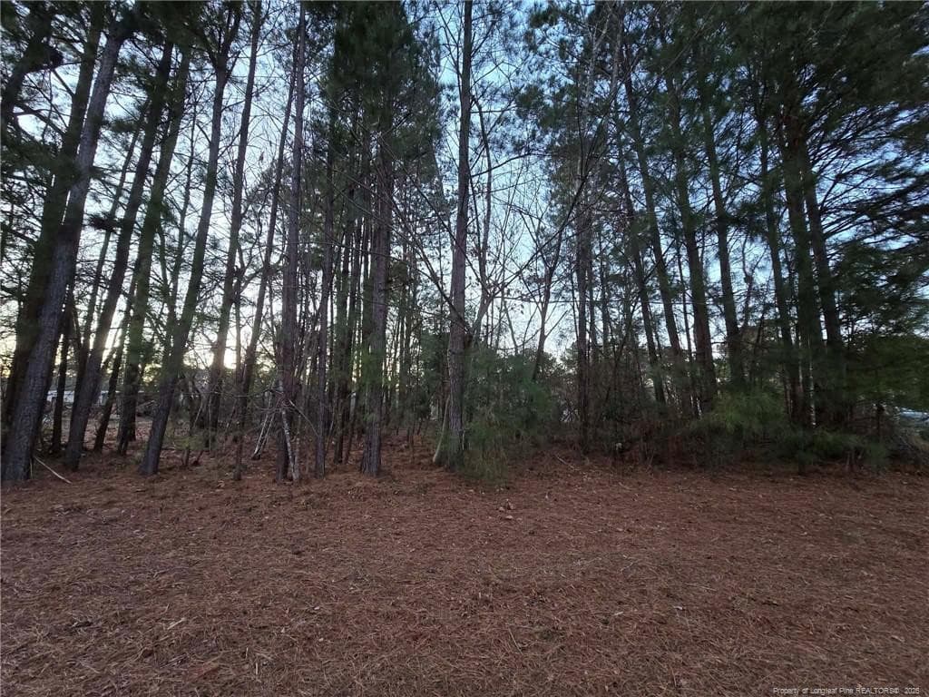 Photo 14 - 4026 Nursery Road, Spring Lake, NC 28390