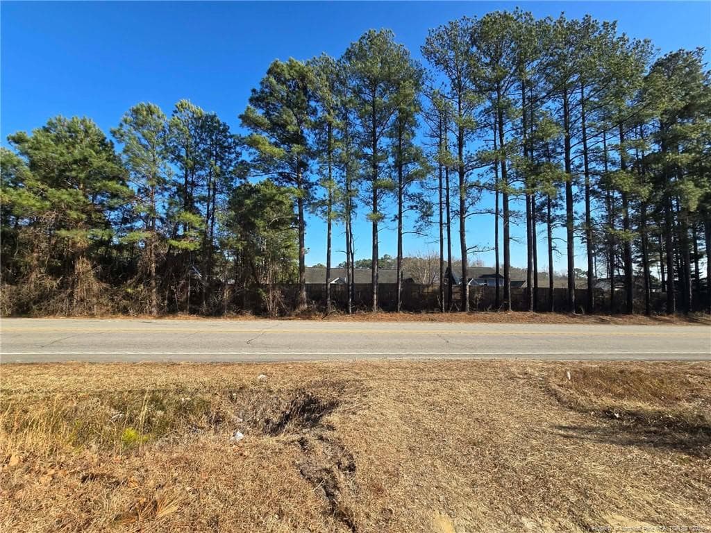 Photo 16 - 4026 Nursery Road, Spring Lake, NC 28390