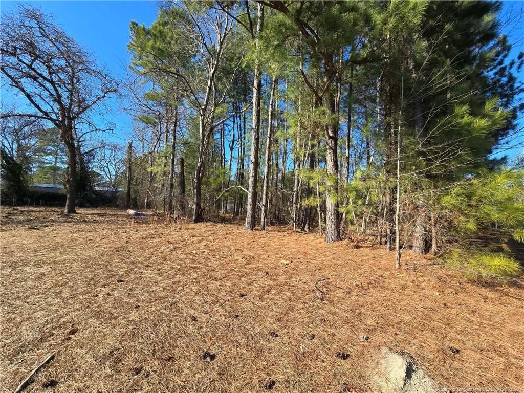 Photo 17 - 4026 Nursery Road, Spring Lake, NC 28390
