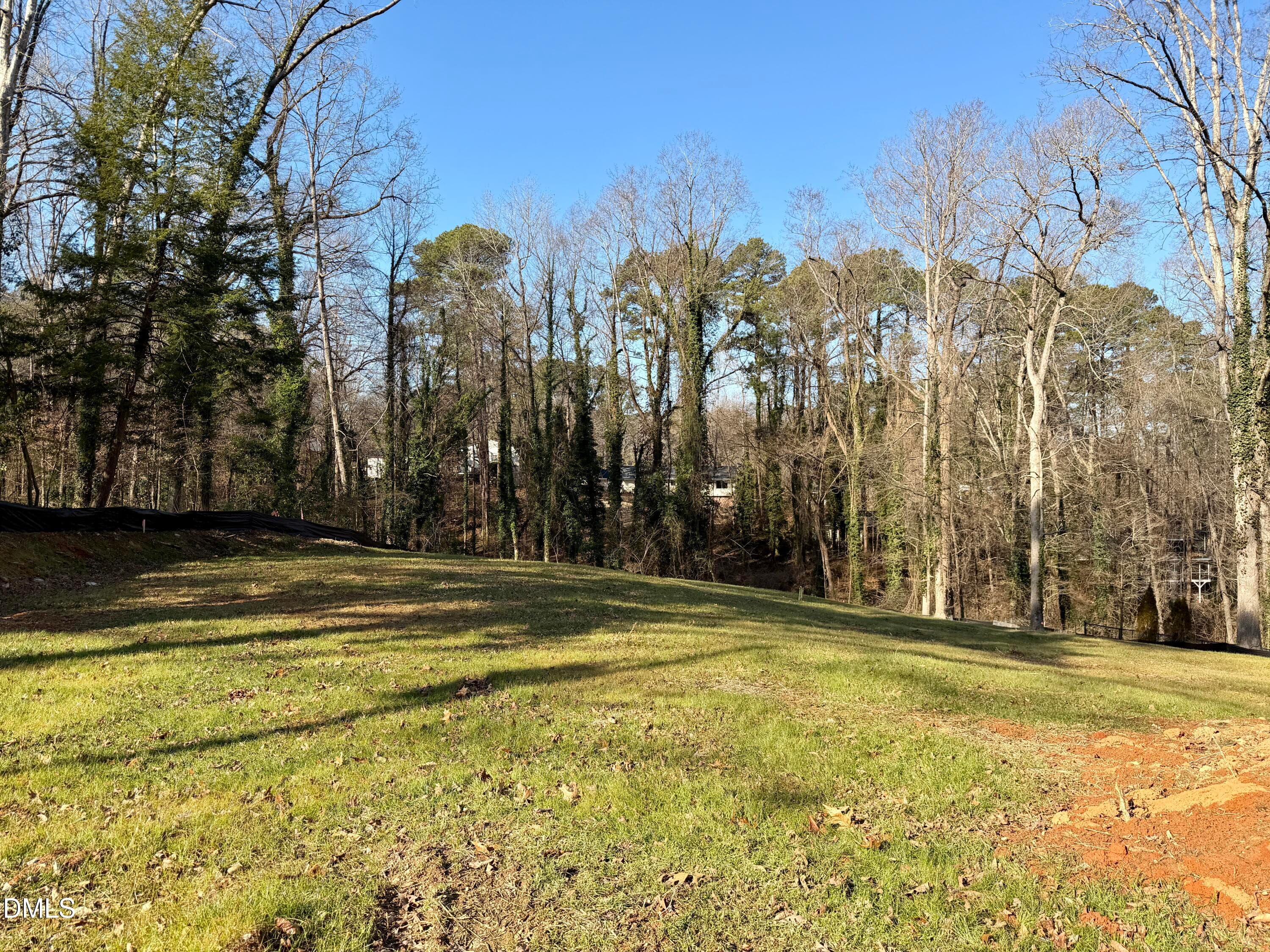 IMG_2228 - 4111 Laurel Ridge Drive, Raleigh, NC 27612, Raleigh