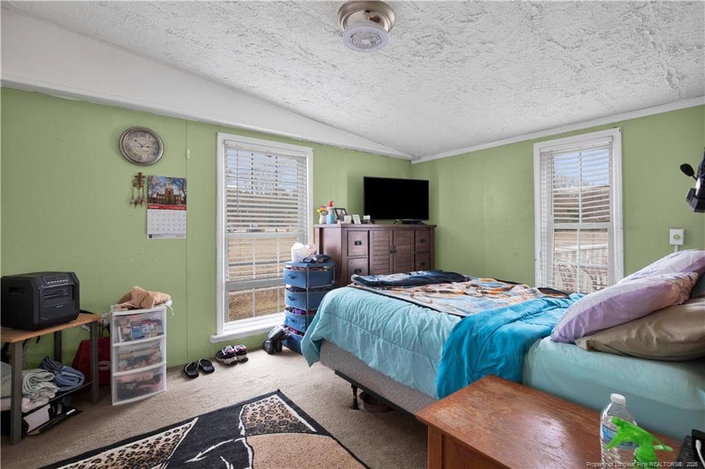 Photo 13 - 8521 Candlebrush Drive, Linden, NC 28356