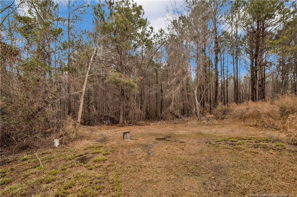 Photo 17 - 8521 Candlebrush Drive, Linden, NC 28356