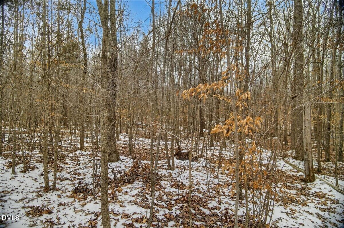 20-DSC3630 - 0 Mace Road, Mebane, NC 27302