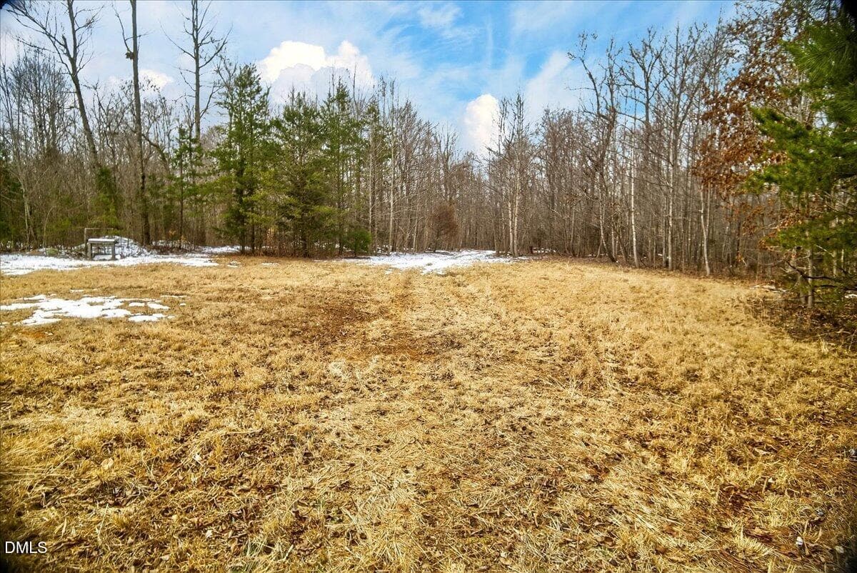27-DSC3589 - 0 Mace Road, Mebane, NC 27302
