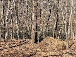 IMG_4109 - 1105 Fontaine Road, Roxboro, NC 27574