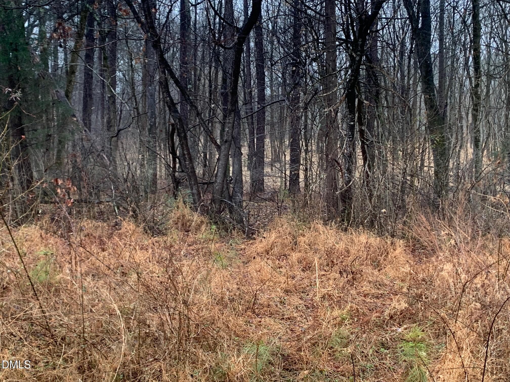 r chap road view into lot2 - 0 Rives Chapel Church Road, Siler City, NC 27344