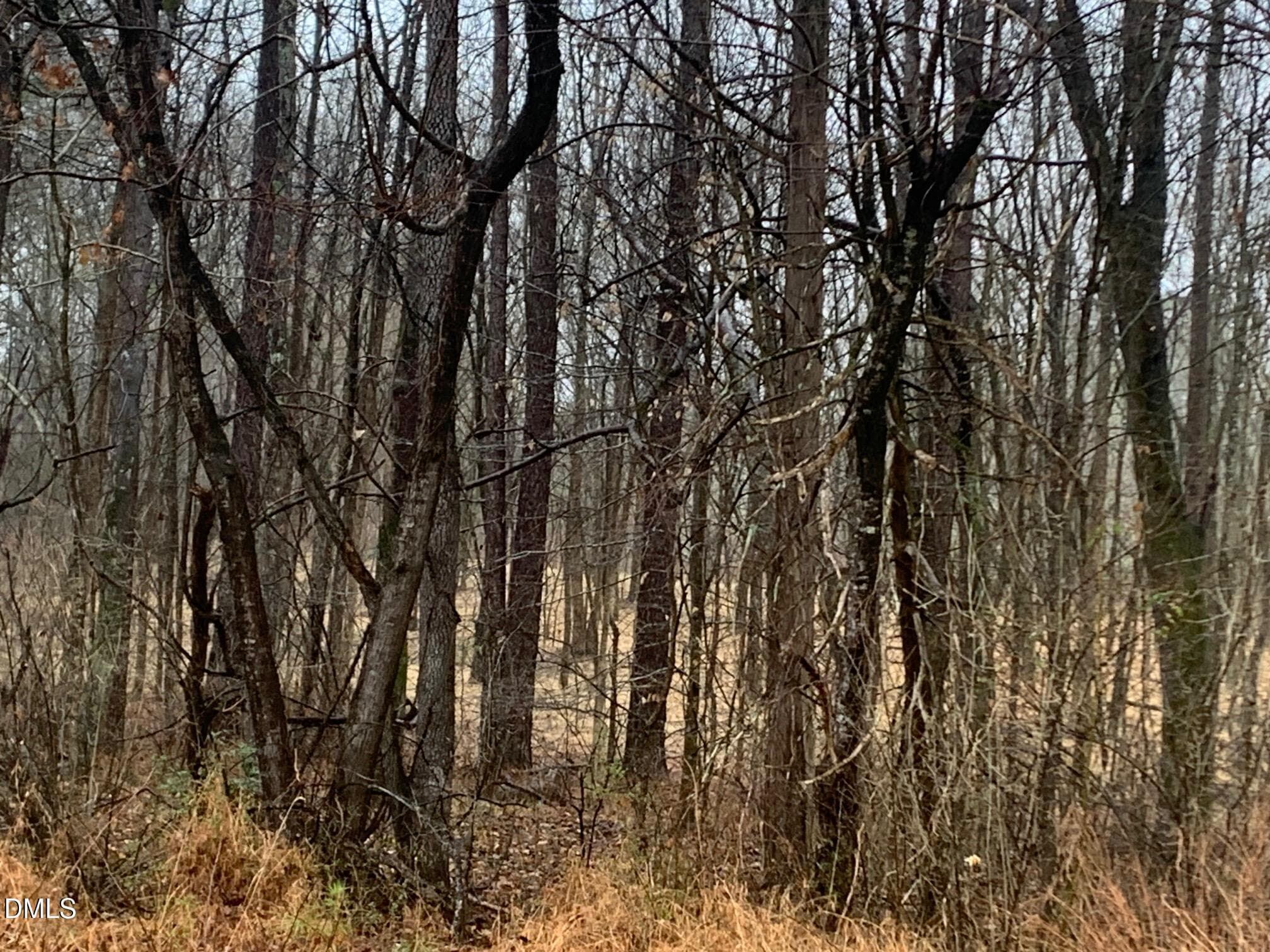 r chap road view into lot3 - 0 Rives Chapel Church Road, Siler City, NC 27344