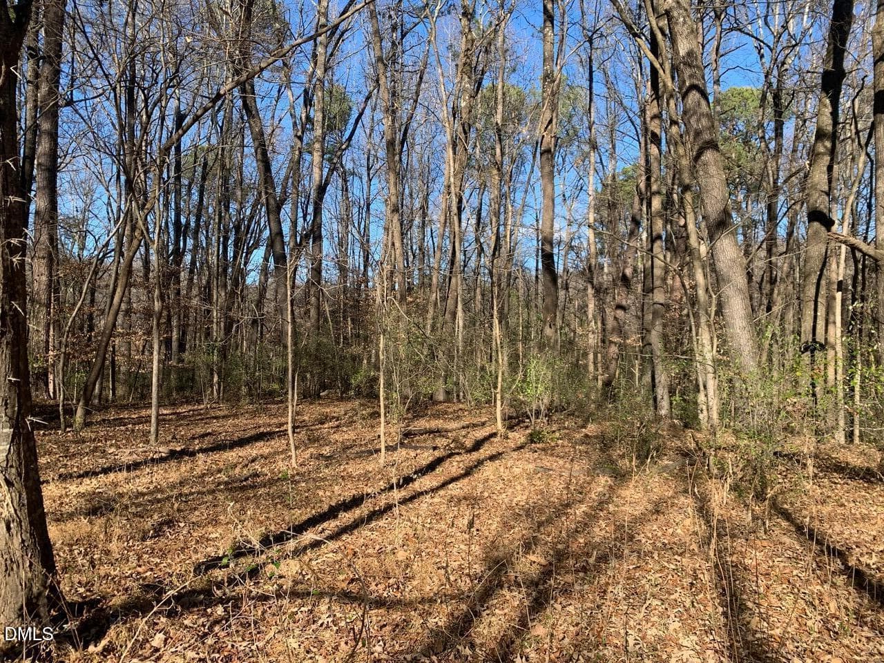 r chap int lot5 - 0 Rives Chapel Church Road, Siler City, NC 27344