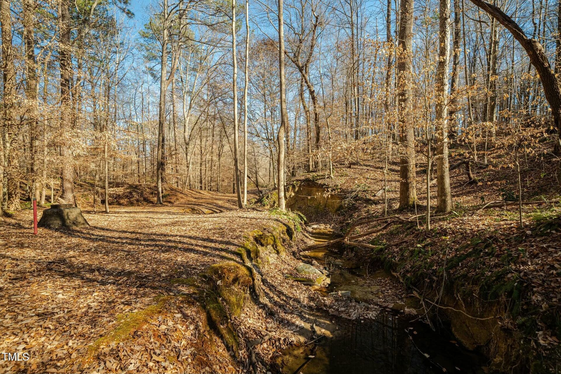 tempImageL80DsH - 0 Washington Street, Clayton, NC 27520