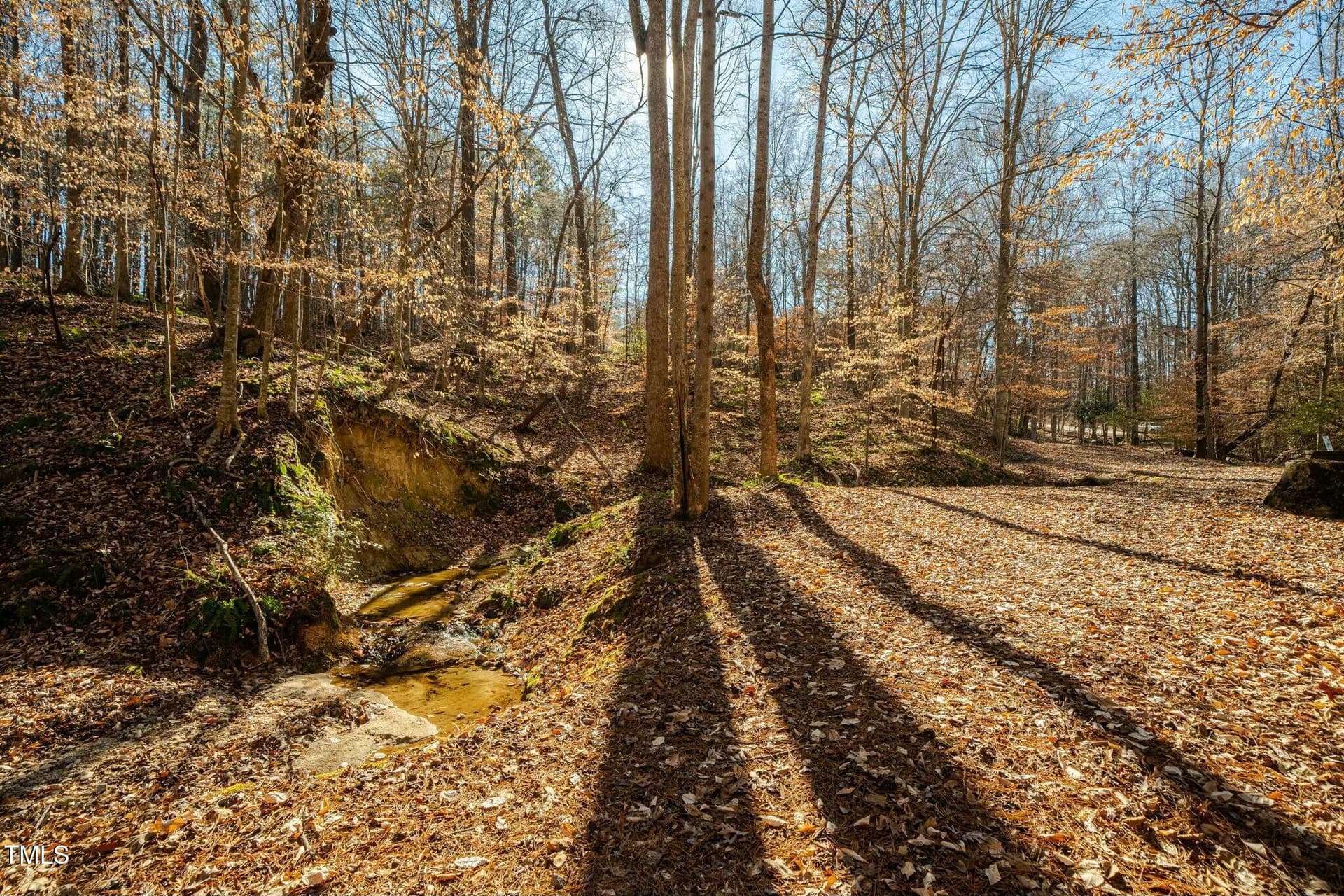 tempImagen5k9v8 - 0 Washington Street, Clayton, NC 27520