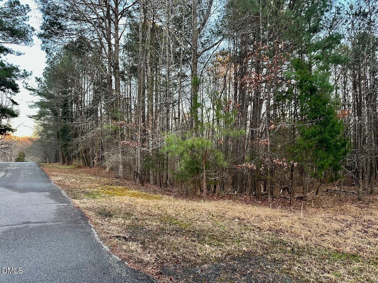 IMG_2341 - 0 Fields Drive, Raleigh, NC 27603, Raleigh