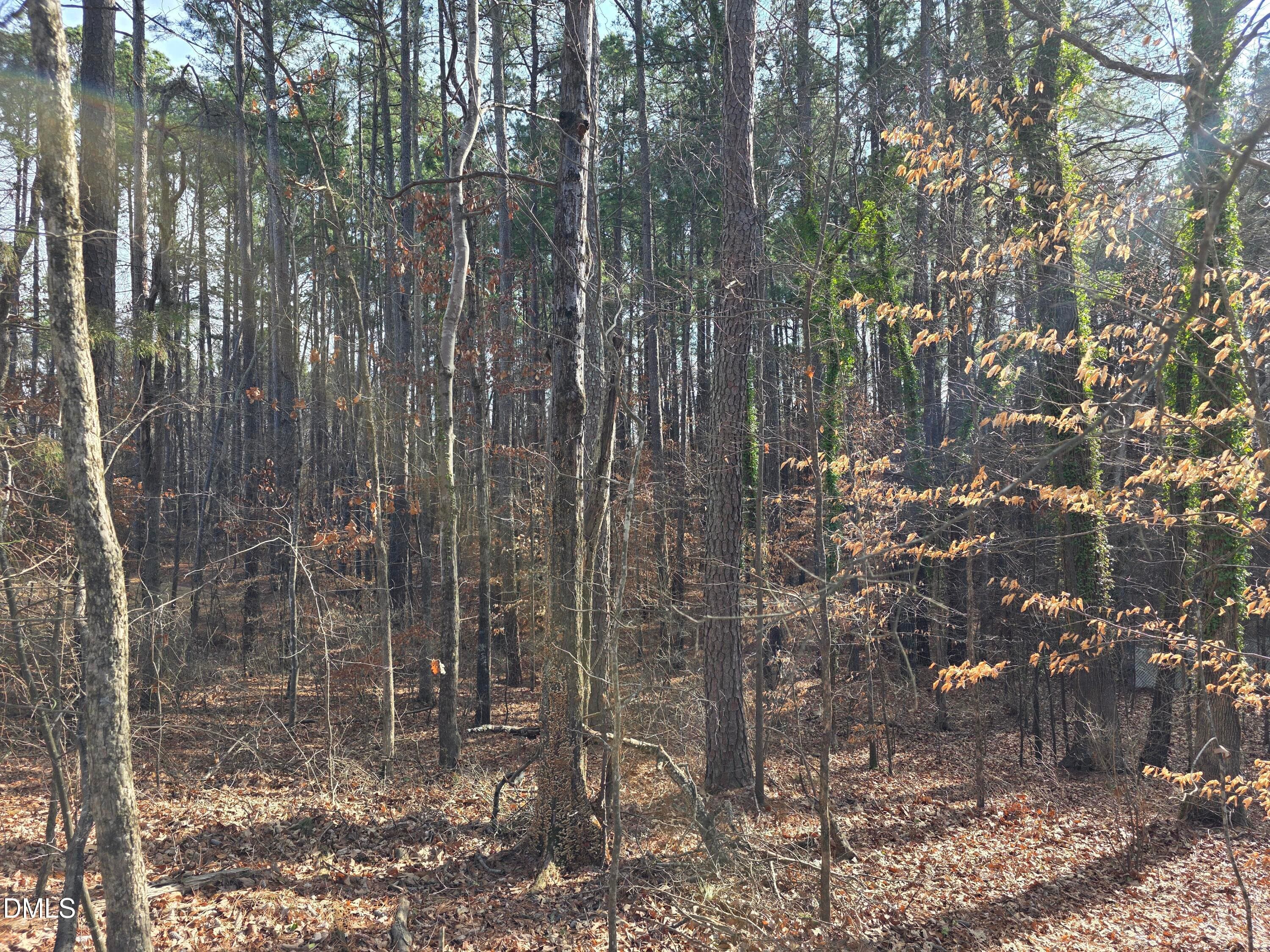 906 Ardmore Drive, Durham, NC 27713