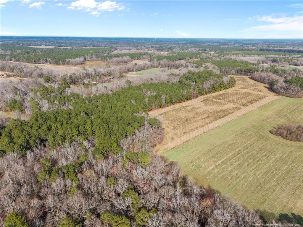 Photo 3 - 1896 & 0 Clark Road, Lillington, NC 27546