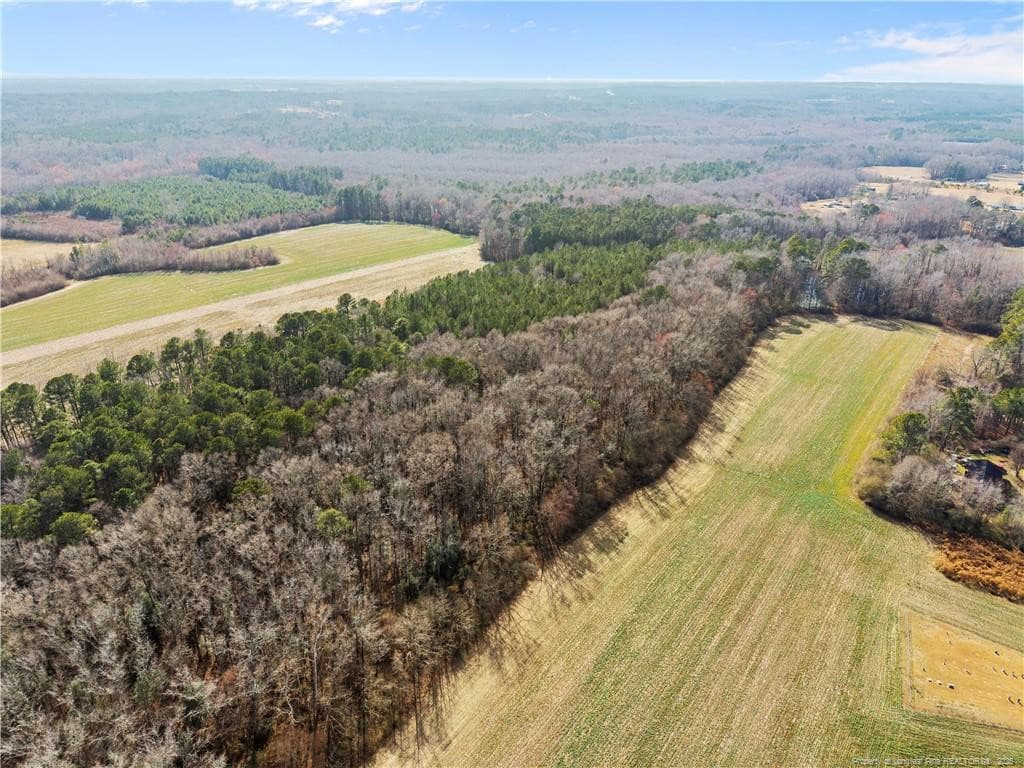 Photo 5 - 1896 & 0 Clark Road, Lillington, NC 27546