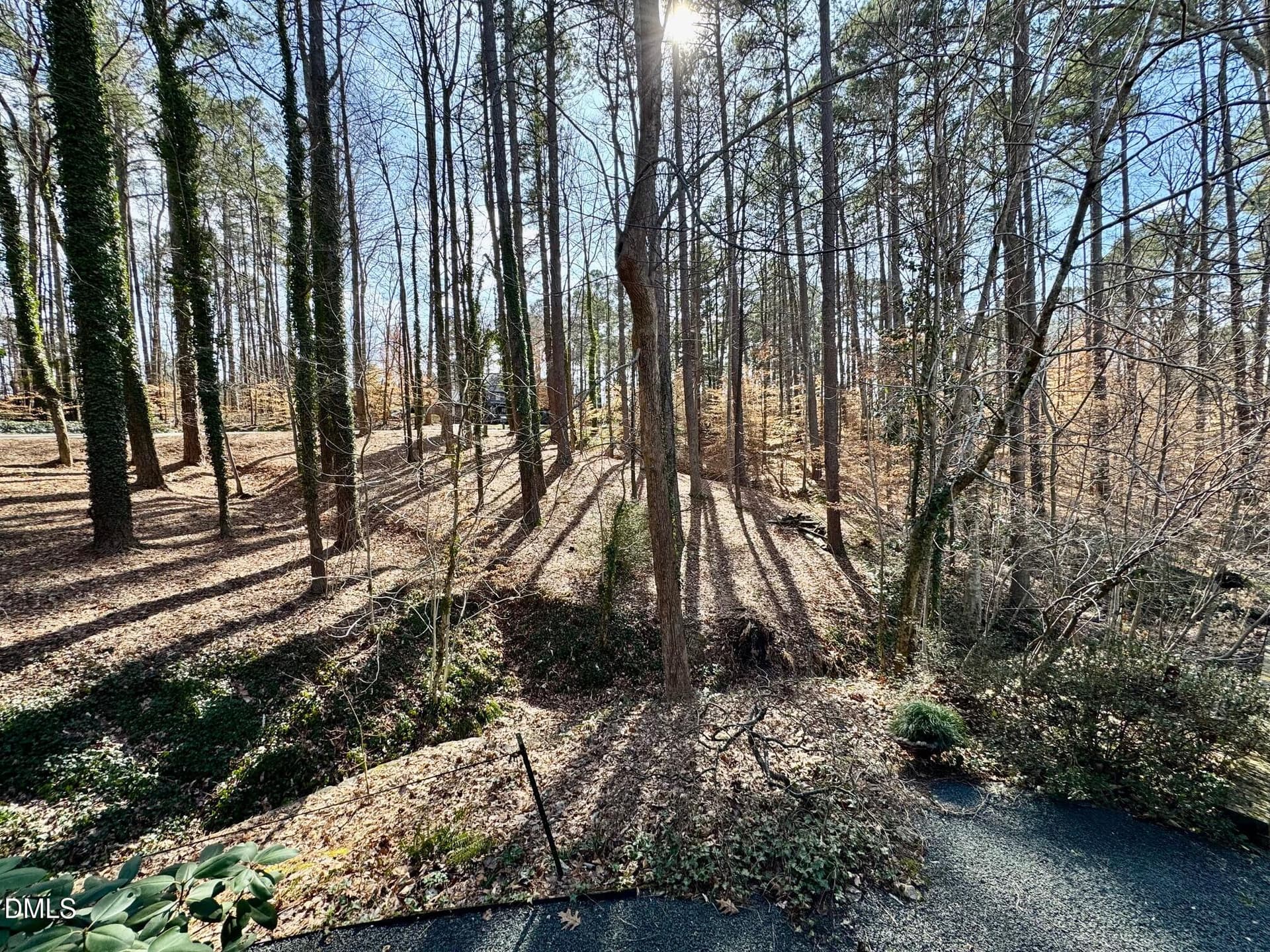 IMG_5136 - 206 Beechwood Trail, Henderson, NC 27536