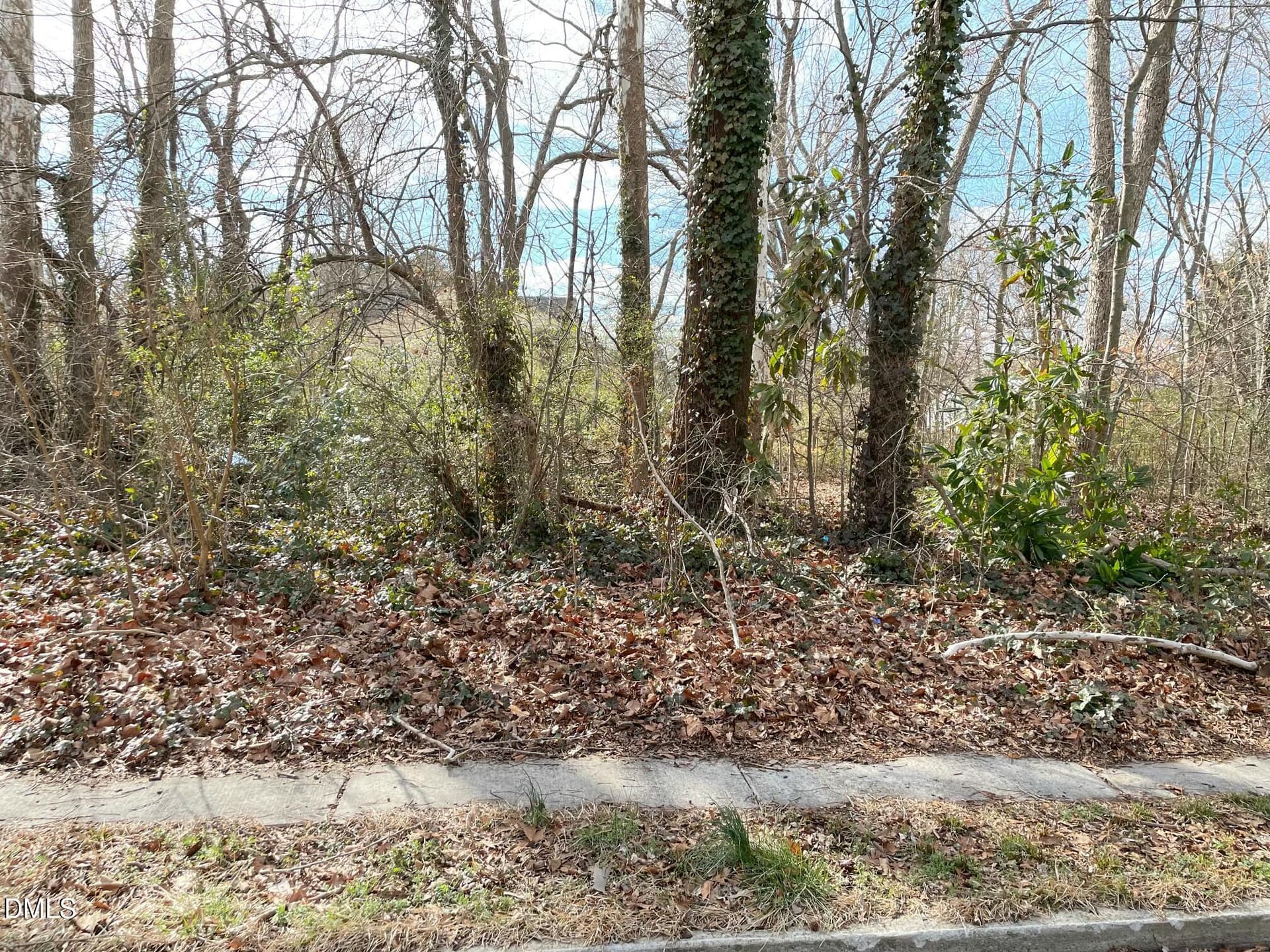 IMG_0770 - 375 W Rockspring Street, Henderson, NC 27536