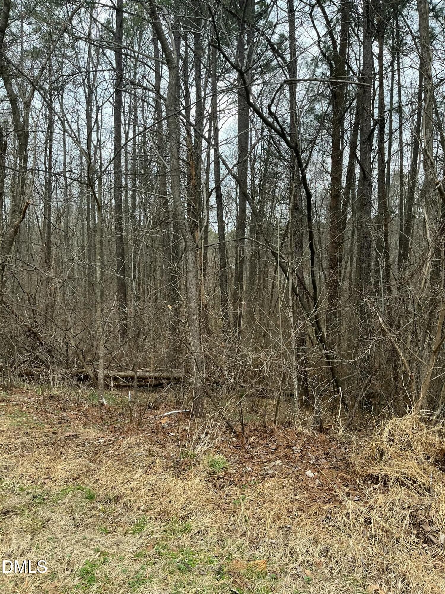 91 Lot Haynoke Drive, Graham, NC 27253