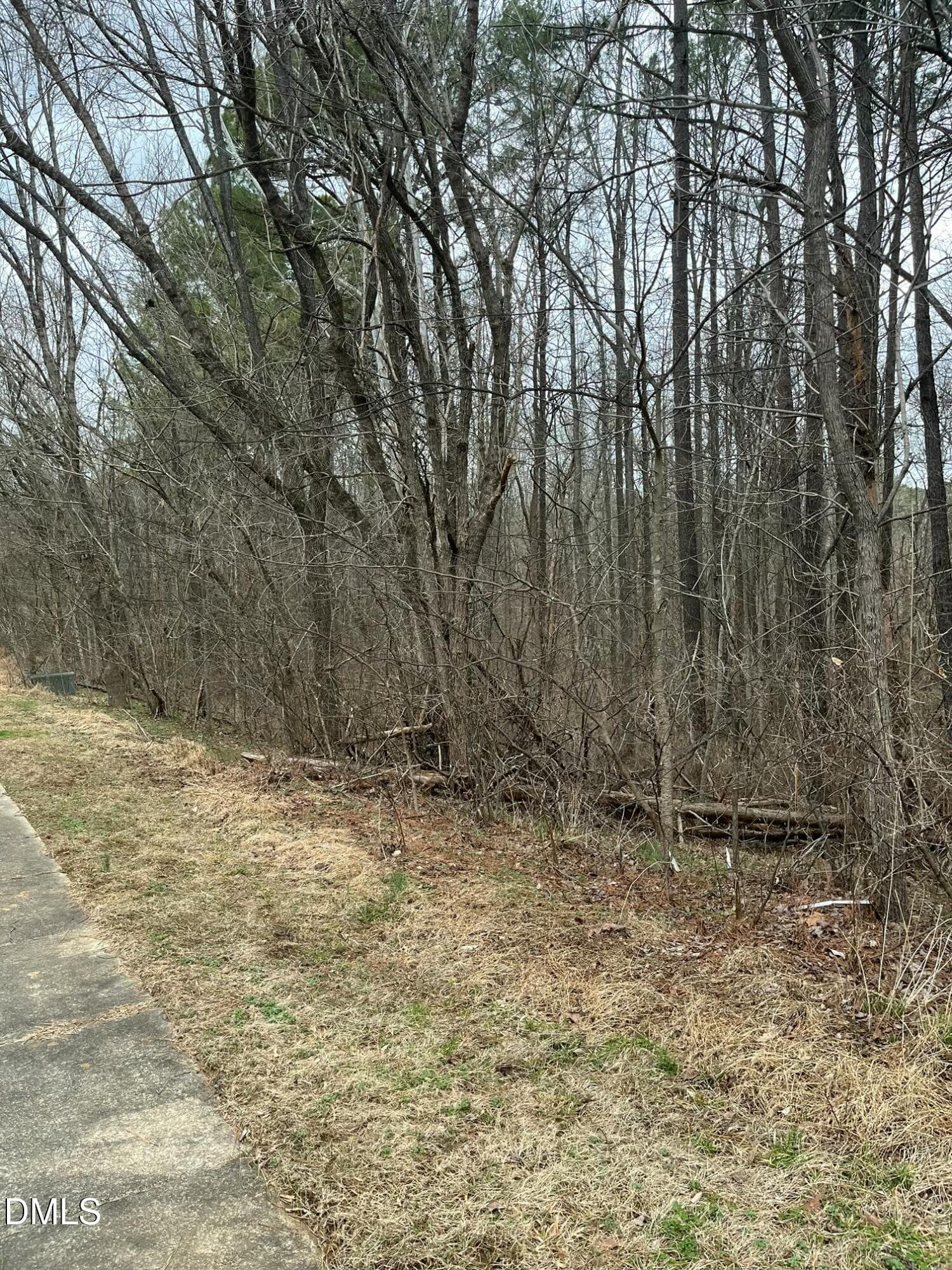 79313375293__2D4C1FA9-7F56-4283-B830-98B - 91 Lot Haynoke Drive, Graham, NC 27253