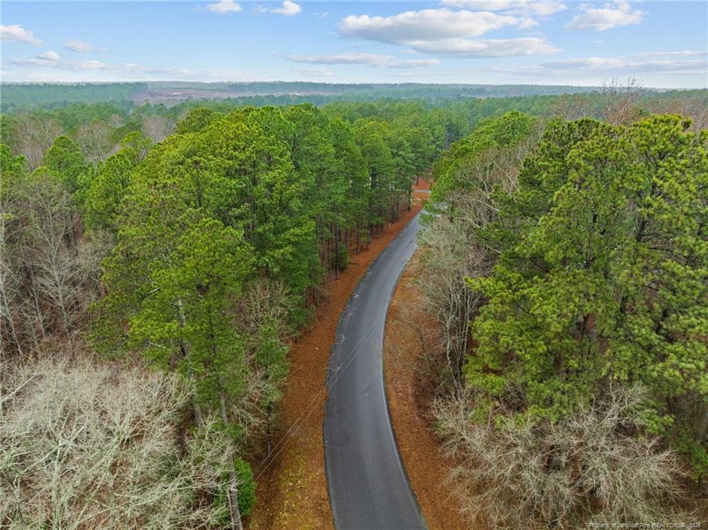 Photo 3 - 221 Pebble Drive, West End, NC 27376