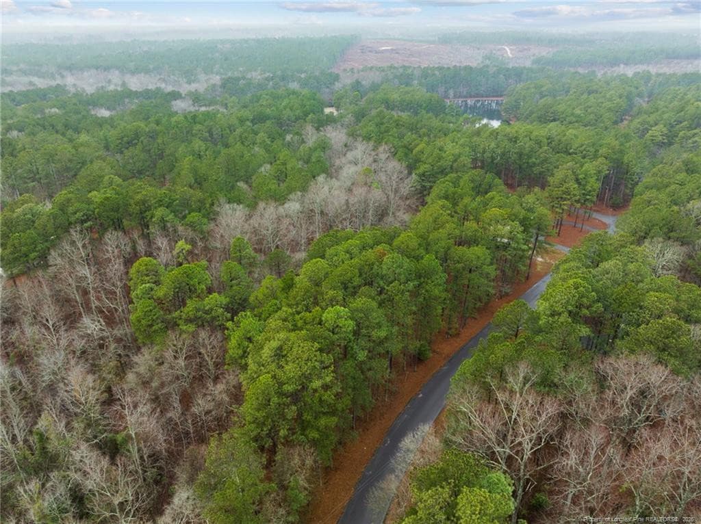Photo 4 - 221 Pebble Drive, West End, NC 27376