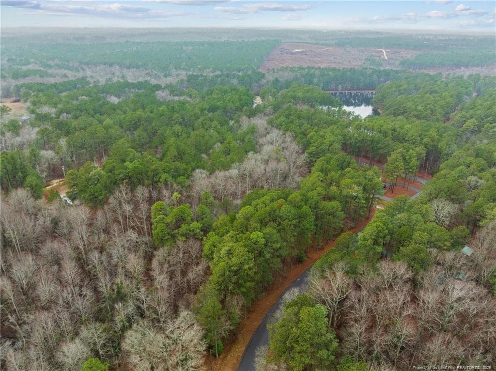 Photo 5 - 221 Pebble Drive, West End, NC 27376, West End
