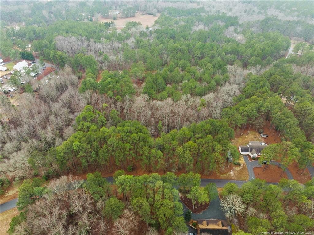 Photo 8 - 221 Pebble Drive, West End, NC 27376, West End