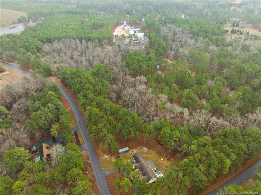 Photo 9 - 221 Pebble Drive, West End, NC 27376, West End