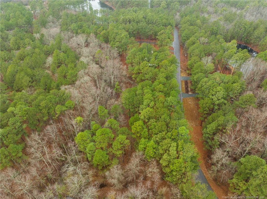 Photo 11 - 221 Pebble Drive, West End, NC 27376