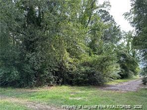Photo 3 - Peach Street, Rowland, NC 28383