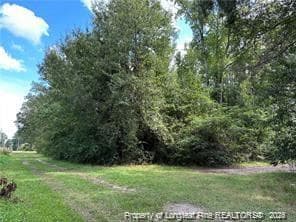 Photo 4 - Peach Street, Rowland, NC 28383