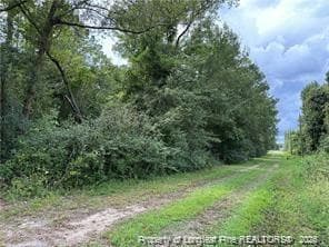 Photo 5 - Peach Street, Rowland, NC 28383