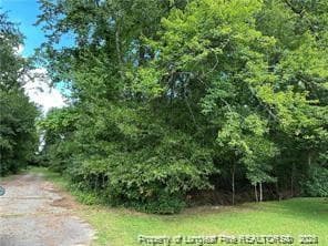 Photo 6 - Peach Street, Rowland, NC 28383