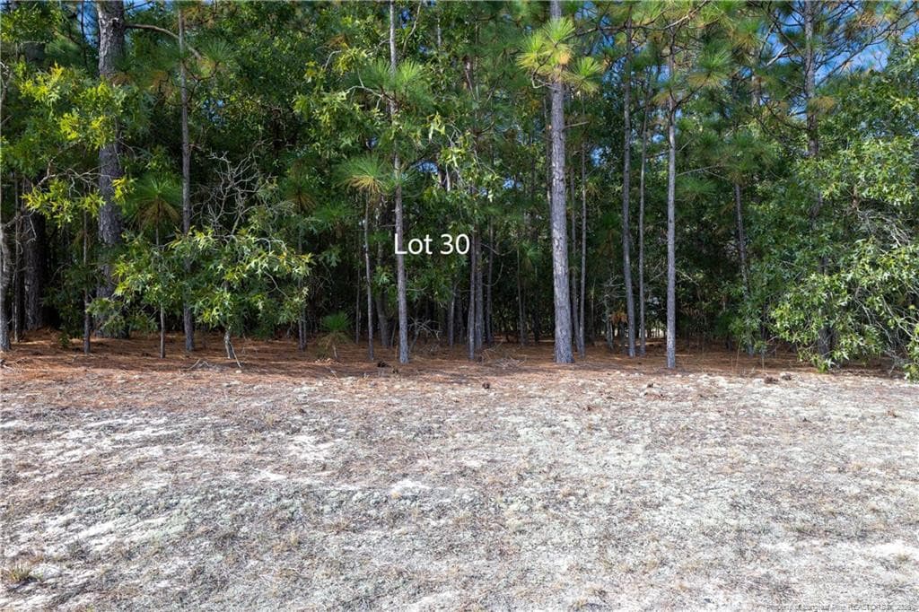 Photo 4 - Old Tom Morris Road, Garland, NC 28441