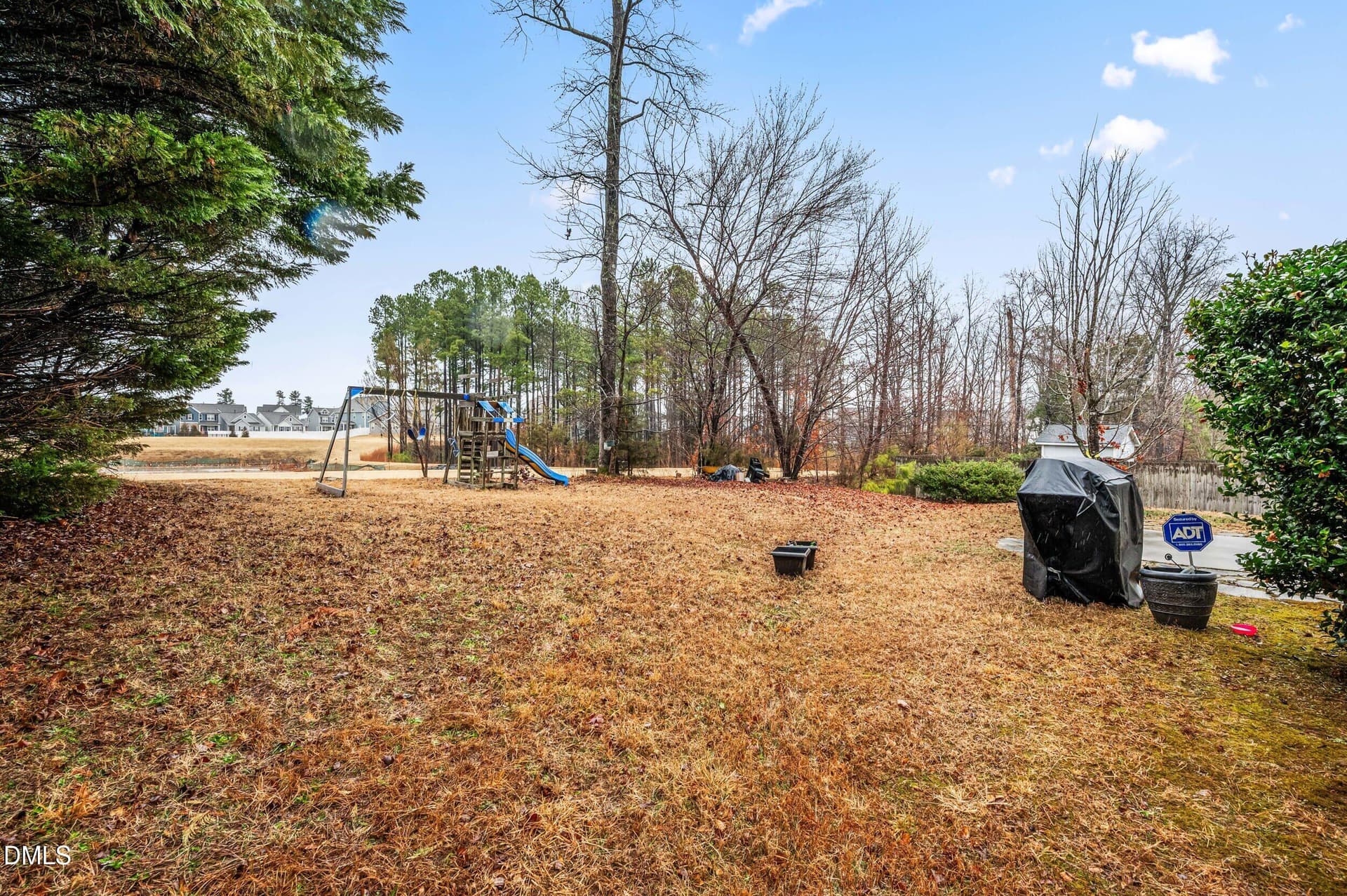 33_dsc_2771 - 412 Star Ruby Drive, Knightdale, NC 27545