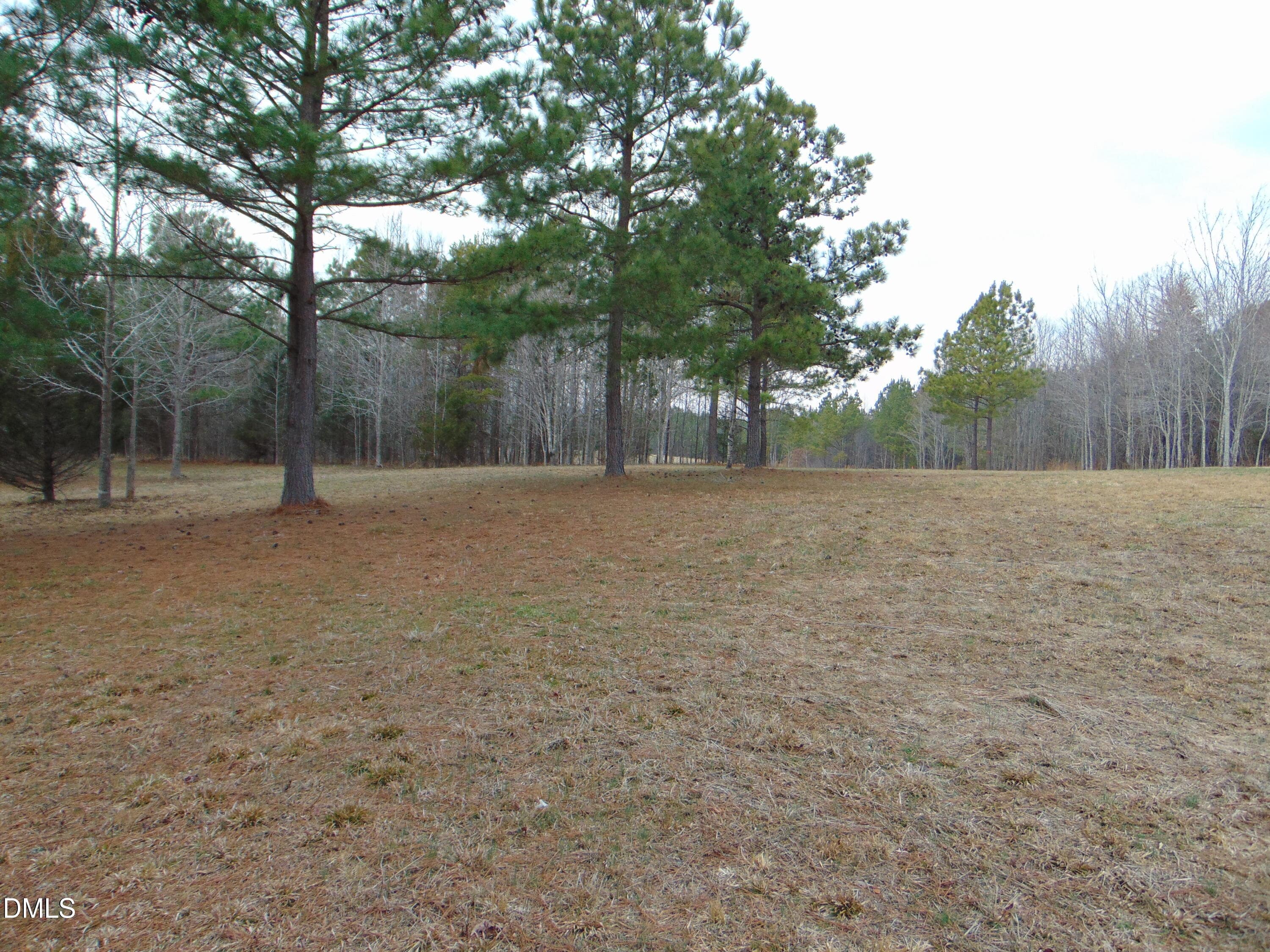 DSC01416 - 13 Lone Oak Trail, Providence, NC 27315
