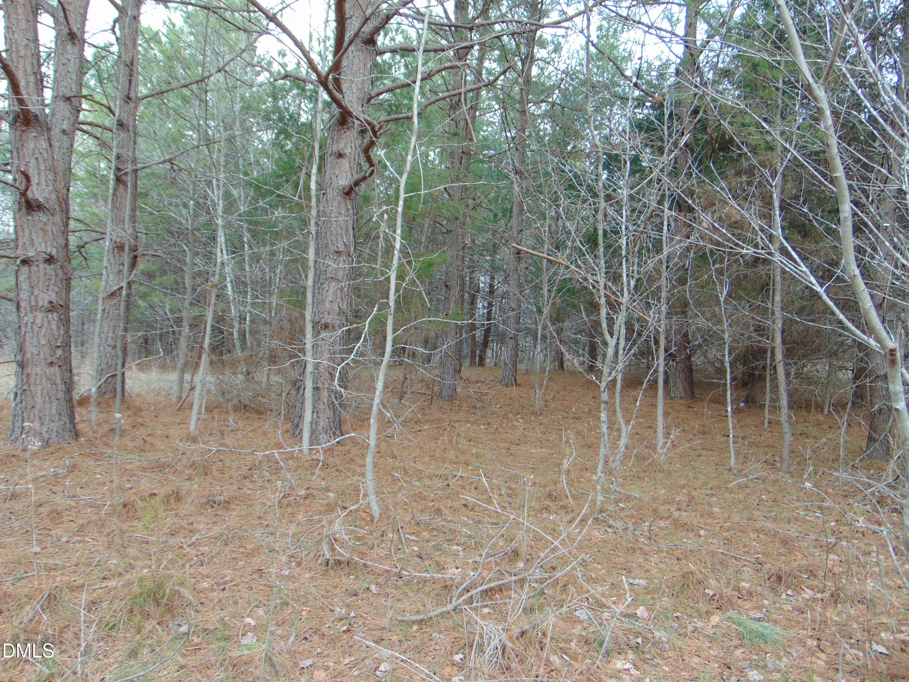 DSC01419 - 13 Lone Oak Trail, Providence, NC 27315
